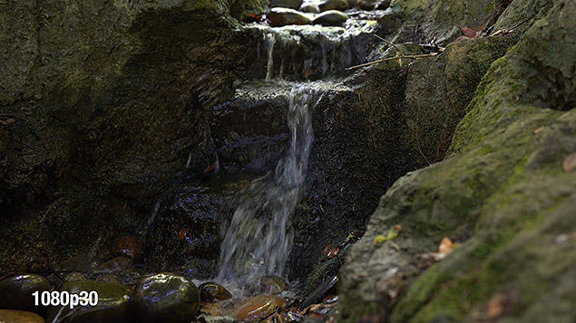 Sony A9 Review -- Gallery Image