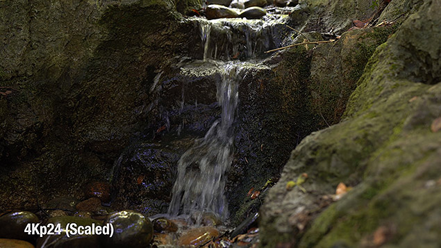 Sony A9 Review -- Gallery Image
