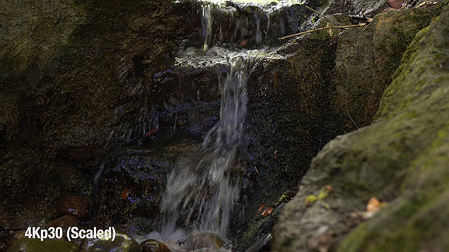 Sony A9 Review -- Gallery Image