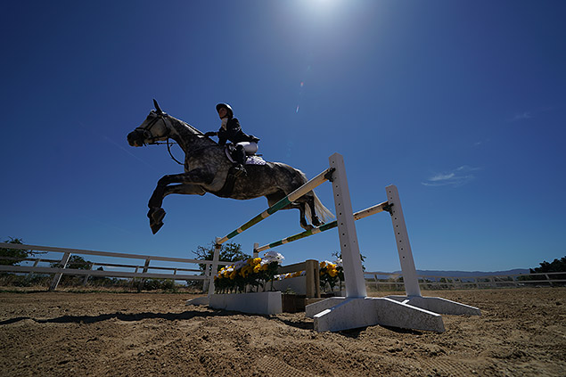 Sony A9 Review -- Gallery Image
