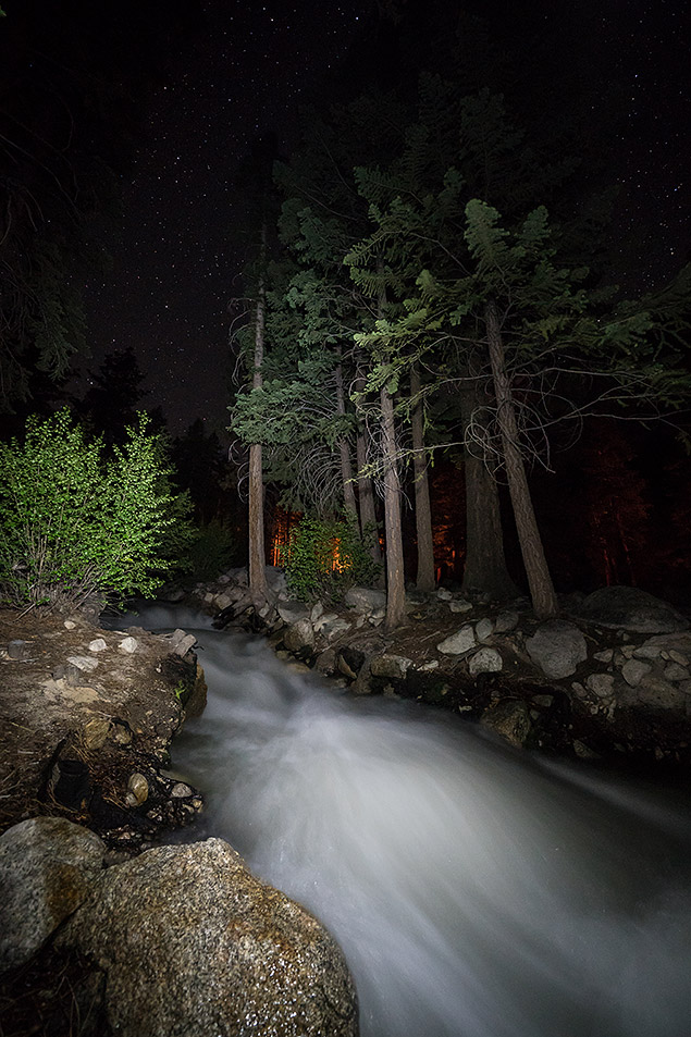 Sony A9 Review -- Gallery Image