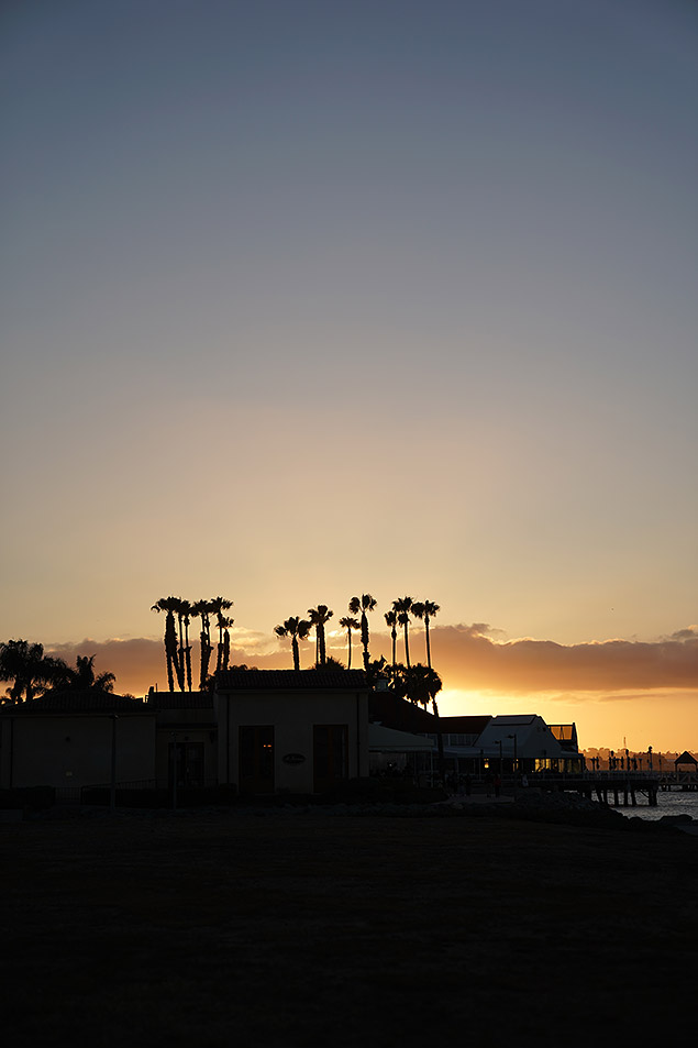 Sony A9 Review -- Gallery Image