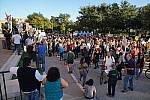 Click to see YDSC00051.JPG