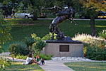 Click to see YDSC00151.JPG