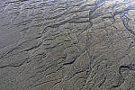 Click to see Y_DSC0487-MOD.JPG