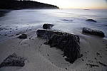 Click to see Y_DSC0502.JPG