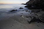 Click to see Y_DSC0506.JPG