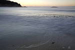 Click to see Y_DSC0511.JPG