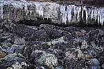 Click to see Y_DSC0549.JPG