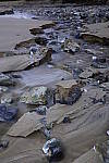 Click to see Y_DSC0554.JPG