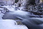 Click to see Y_DSC0583.JPG