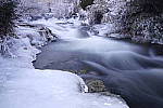 Click to see Y_DSC0588.JPG