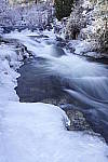 Click to see Y_DSC0611.JPG
