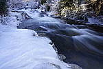 Click to see Y_DSC0619.JPG