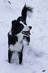 Click to see Y_DSC0685.JPG