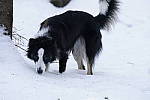 Click to see Y_DSC0695.JPG