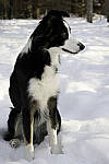 Click to see Y_DSC0716-MOD.jpg