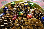 Click to see Y_DSC0995-ISO-800.JPG