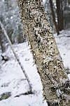 Click to see Y_DSC1135.JPG