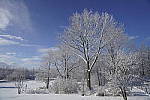 Click to see Y_DSC1291.JPG