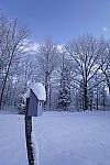 Click to see Y_DSC1299.JPG