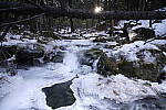 Click to see Y_DSC1562.JPG
