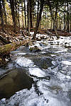 Click to see Y_DSC1567-MOD.JPG