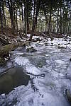 Click to see Y_DSC1567.JPG
