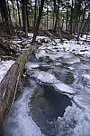 Click to see Y_DSC1569.JPG