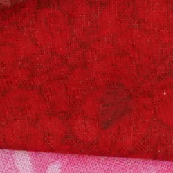 100% crop from Sony A99 II test image taken at ISO 1600