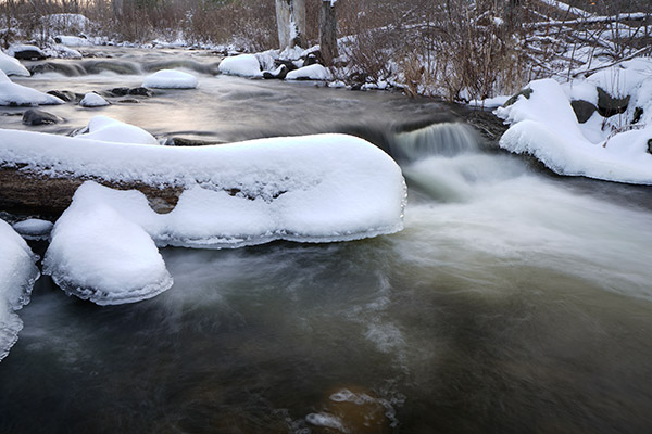 Sony A99 II Review: Field Test -- Gallery Image