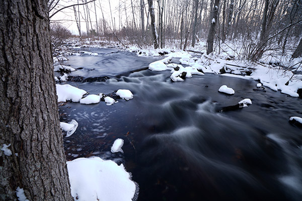 Sony A99 II Review: Field Test -- Gallery Image