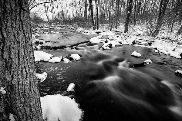 Sony A99 II Review: Field Test -- Gallery Image