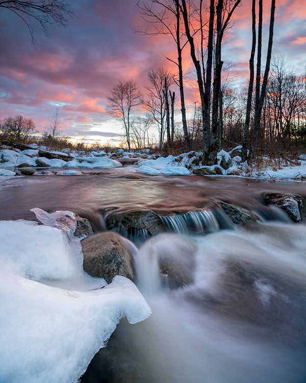 Sony A99 II Review: Field Test -- Gallery Image