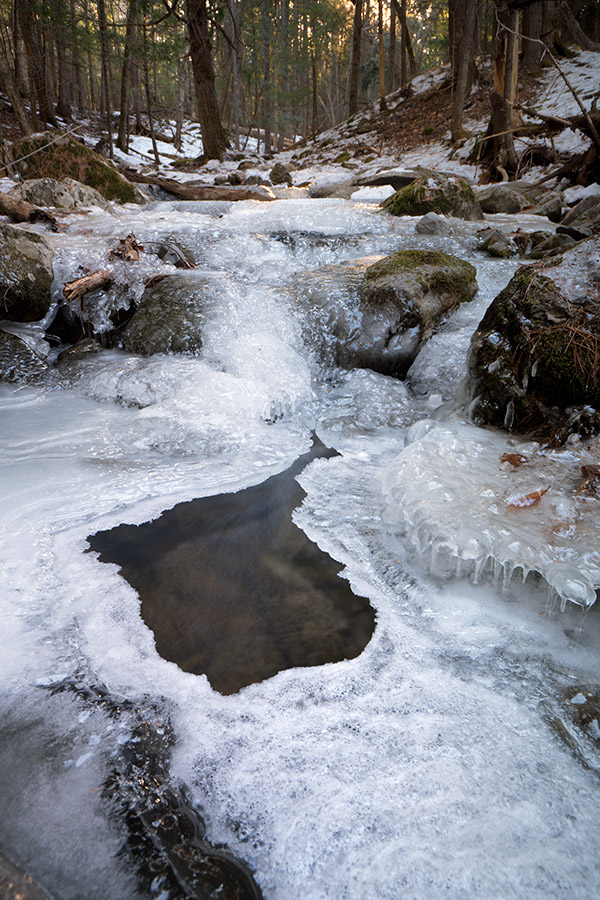 Sony A99 II Review: Field Test -- Gallery Image