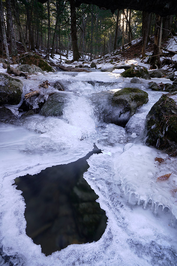 Sony A99 II Review: Field Test -- Gallery Image