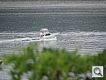 Click to see YDSC00381.JPG