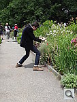 Click to see YDSC00401.JPG