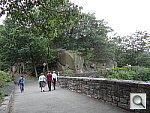 Click to see YDSC00415.JPG