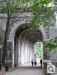 Click to see YDSC00424.JPG