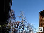 Click to see YDSC00024-wide.JPG