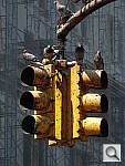 Click to see YDSC00204.JPG