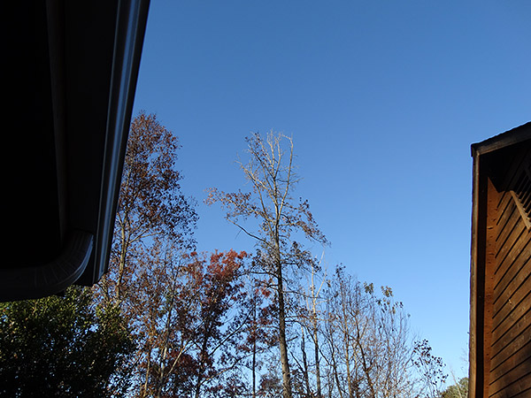 Sony HX300 Review -- Sample image