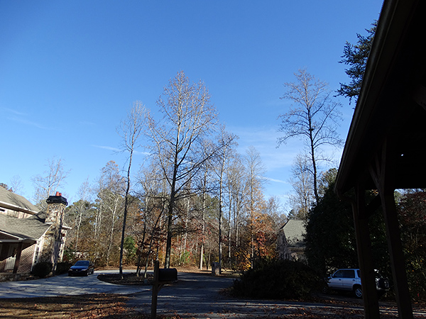 Sony HX300 Review -- Sample image