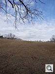 Click to see YFIELD_I-AUTO.JPG