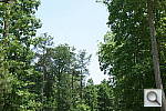 Click to see NEX3NPINE_IDCdefaults.JPG