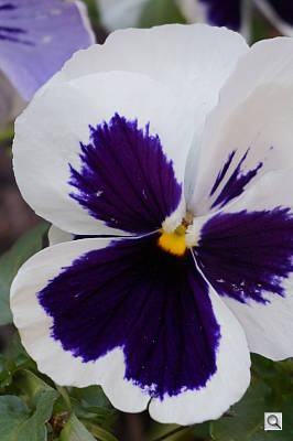 Sony NEX-3N Review -- Sample Image