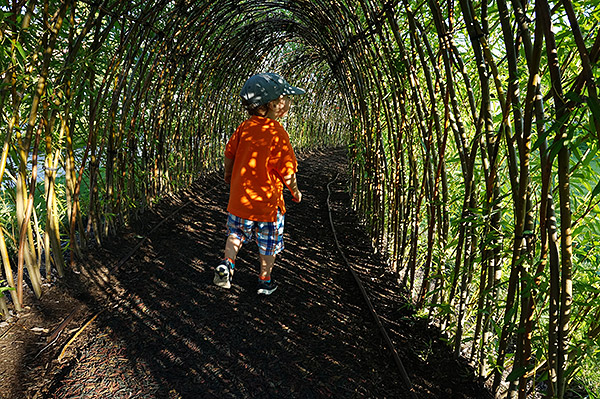 Sony NEX-3N Review -- Sample Image
