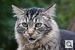 Click to see Y5TZAJ1179.JPG
