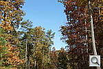 Click to see NEX6PINE_IDCs50.JPG